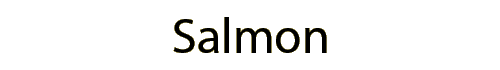 designed logo with healthy food